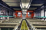 Línea de Anodizado